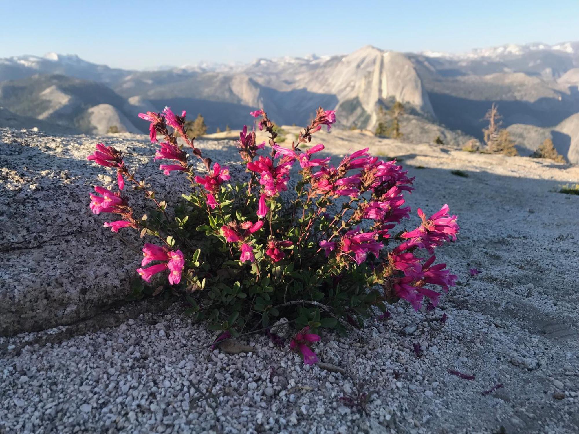 Black Oak Hill Vista Near Yosemite - Mountain Views & Starry Night Sky * Mariposa